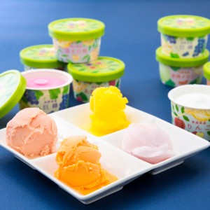 果実の便り 国産フルーツアイス物語 6種 詰め合わせ アイスクリーム スイーツ【離島 お届け不可】