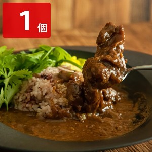 ALOHAスパイスカレー レトルトカレー国産 ビーフカレー 鹿児島 ご当地カレー 黒毛和牛 牛スジカレー 惣菜