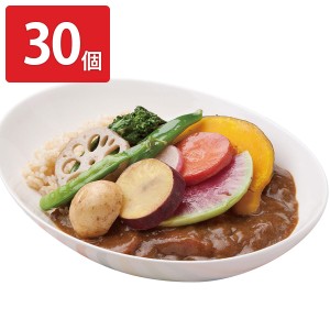 「俺たちの能登」カレー 30個セット カレー 惣菜 野菜カレー 簡単調理 レトルト 化学調味料不使用