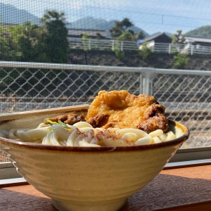 上戸うどん監修 讃岐うどん 4食セット うどん さぬきうどん 本場 生うどん