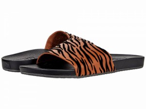 Vans バンズ レディース 女性用 シューズ 靴 サンダル Decon Slide (Animal Stripes) Argan Oil/Black【送料無料】