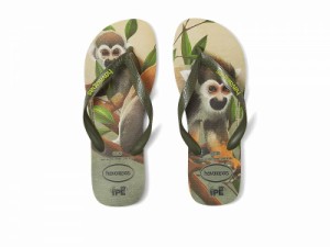 Havaianas ハワイアナス メンズ 男性用 シューズ 靴 サンダル Ipe Flip Flop Sandal Sand Grey/Moss【送料無料】