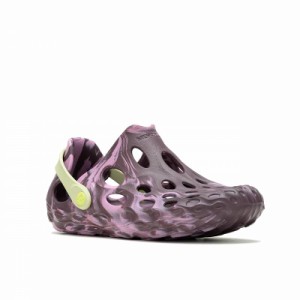 Merrell メレル レディース 女性用 シューズ 靴 スニーカー 運動靴 Hydro Moc Plumwine【送料無料】