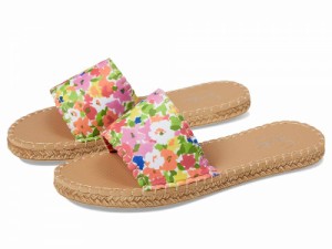 Sea Star Beachwear レディース 女性用 シューズ 靴 サンダル Cabana Slide Water Shoe Frances Valentine Wild Flower【送料無料】