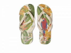 Havaianas ハワイアナス レディース 女性用 シューズ 靴 サンダル Farm Parrot and Floral Flip-Flops Beige【送料無料】