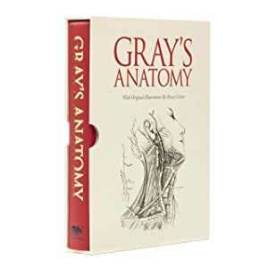 Gray's Anatomy(中古品)