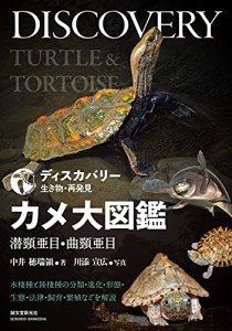 カメ大図鑑 潜頸亜目・曲頸亜目: 水棲種と陸棲種の分類・進化・形態・生態・法律・飼 (中古品)