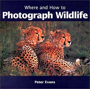 Where and How to Photograph Wildlife(中古品)