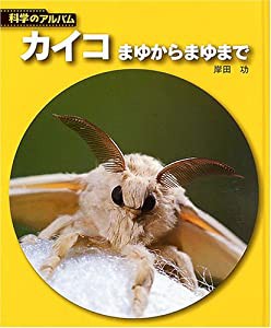 カイコ―まゆからまゆまで (科学のアルバム)(中古品)