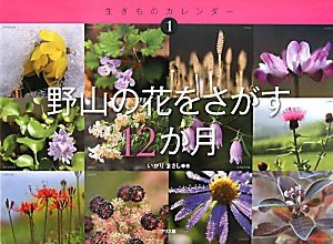 野山の花をさがす12か月 (生きものカレンダー)(中古品)