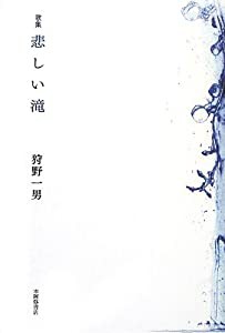 歌集 悲しい滝 (コスモス叢書)(中古品)