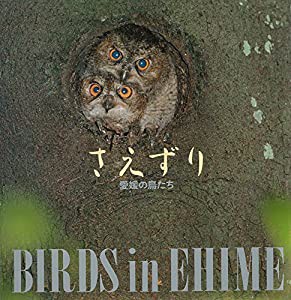 さえずり-愛媛の鳥たち(中古品)