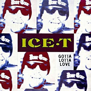 Gotta Lotta Love [CD](中古品)