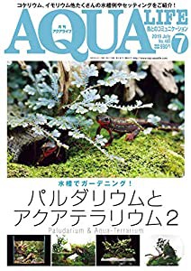 月刊アクアライフ 2019年 07 月号 パルダリウムとテラリウム2(中古品)