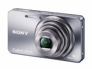 ソニー SONY デジタルカメラ Cybershot W570 1610万画素CCD 光学ｘ5 シルバ(中古品)