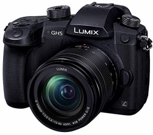 パナソニック ミラーレス一眼カメラ ルミックス GH5 レンズキット 標準ズームレンズ付(中古品)