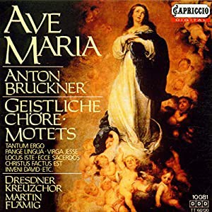 Ave Maria [CD](中古品)