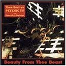 Beauty From the Beast: Best Ov [CD](中古品)