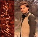Andy Childs [CD](中古品)
