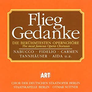 Flieg Gendanke [CD](中古品)