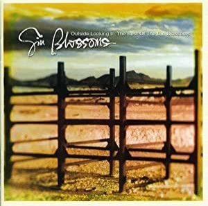 Outside Looking In: The Best Of Gin Blossoms [CD](中古品)