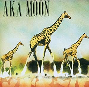 AKA Moon [CD](中古品)