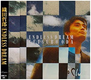 ENDLESS DREAM [CD](中古品)