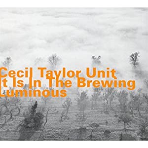 It Is in the Brewing Luminous [CD](中古品)