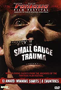 Small Gauge Trauma [CD](中古品)