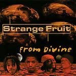 From Divine [CD](中古品)