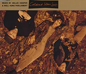 Autumn leaves-Nellee Hooper/Well Hung Parliament Mixes [Single-CD] [CD](中古品)