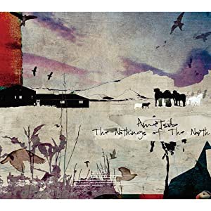 The Nothings of The North [CD](中古品)