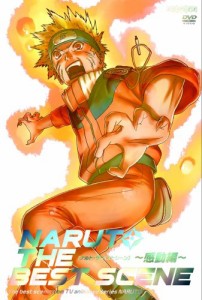 NARUTO THE BEST SCENE ~感動編~ [DVD](中古品)