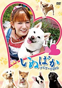 映画「いぬばか」ナビゲートDVD(中古品)