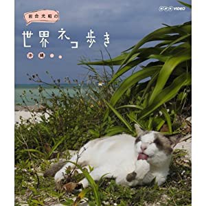 岩合光昭の世界ネコ歩き　沖縄　ブルーレイ【NHKスクエア限定商品】(中古品)