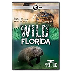 NATURE: Wild Florida [DVD](中古品)
