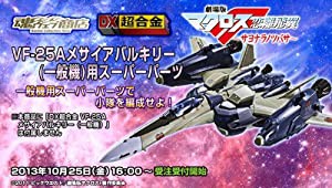 DX超合金 VF-25A メサイアバルキリー（一般機）用スーパーパーツ(中古品)