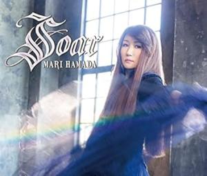 浜田麻里　BLUE REVOLUTION TOUR MARI LIVE　DVD Live Brochure Brochure) Hamada Mari Mari HAMADA BLUE