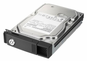 I-O DATA LAN DISK Zシリーズ専用 交換用ハードディスクカートリッジ 500GB(中古品)