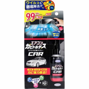 エアコンカビトルデス エアコンカビ取りスプレー 80mL[倉庫区分OC]