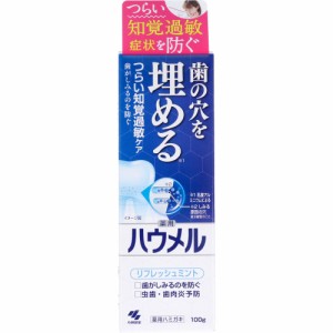 薬用ハミガキ ハウメル フレッシュミント 100g[倉庫区分OC]