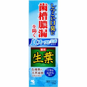 薬用 生葉 息スーッと実感タイプ 100g[倉庫区分OC]