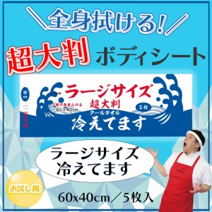 超大判 クールタオル ラージサイズ冷えてます 60×40cm 5枚入[倉庫区分OC]