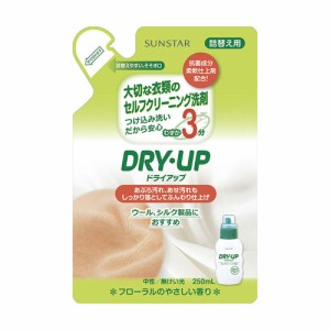 ドライアップ 大切な衣類のセルフクリーニング洗剤 詰替用 250mL[倉庫区分OC]