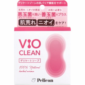 デリケートソープ VIO CLEAN ナチュラルハーブの香り 105g[倉庫区分OC]