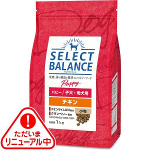 セレクトバランス パピー チキン 小粒 子犬・母犬用 1kg