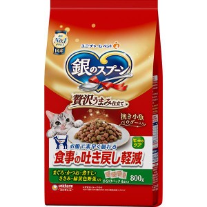 【SALE】銀のスプーン ドライ 贅沢うまみ仕立て 食事の吐き戻し軽減フード まぐろ・かつお・煮干し・ささみ・緑黄色野菜入り 800g