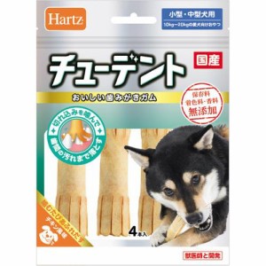 チューデント 小型〜中型犬用 4本