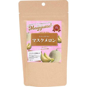 Magyutto！ フリーズドライ マスクメロン 13g