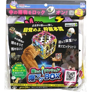 猫ちゃんテンション爆アゲBOX